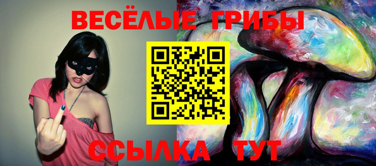 Псилоцибиновые грибы мухоморы  Галлюциногенные грибы Magic Shrooms  Комсомольск-на-Амуре  Вход с VPN 